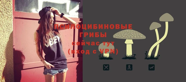 сатива Нягань