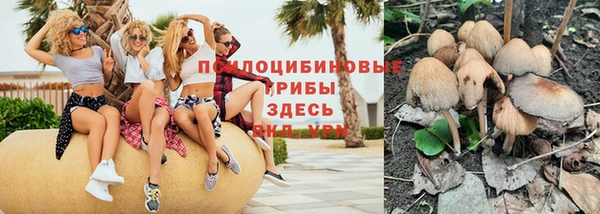 сатива Нягань