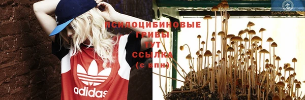 сатива Нягань