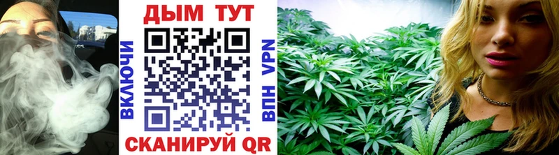 Каннабис план  Купить  Ачинск 